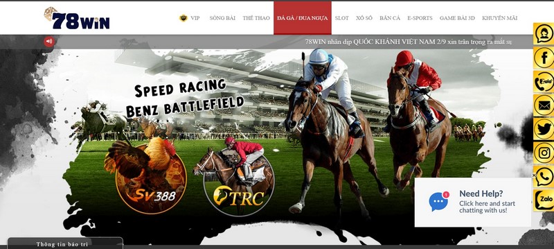 Nhiều trò chơi hấp dẫn